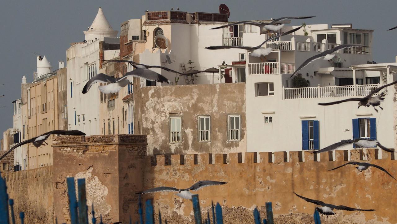 Dar Rahaothello Acomodação com café da manhã Essaouira Exterior foto